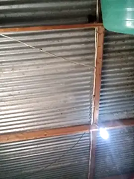 CUTE V 123 online show from November 17, 5:52 am