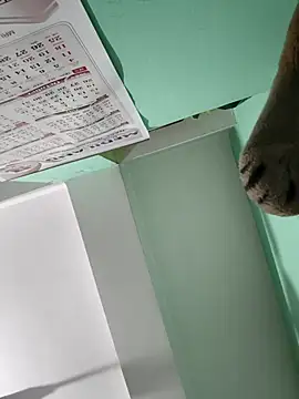 Kajal-585 online show from January 17, 4:58 pm