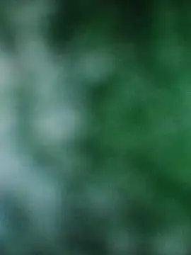 Rouse hot  online show from December 20, 3:21 am