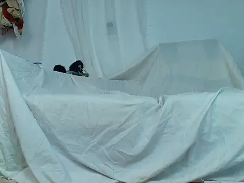 Lina-168 online show from November 30, 5:00 am