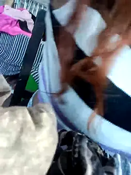 cata bronw online show from February 8, 11:36 am