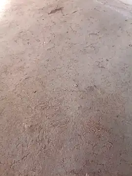 Nandani-758 online show from December 2, 10:06 am