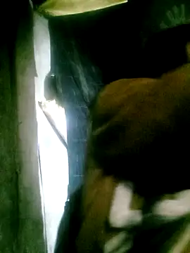 -mayman99 online show from December 20, 11:47 am