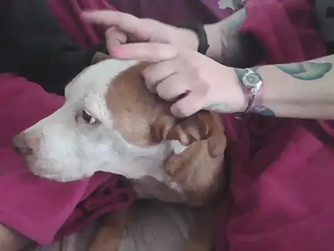 Darkytah online show from February 20, 3:35 pm