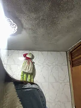 Alix Rousses21 online show from December 21, 4:28 am