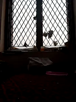 chinnu telugu01 online show from December 23, 11:03 am