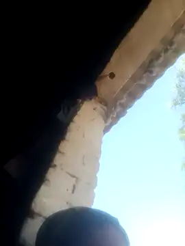 Pinki rajak online show from April 24, 10:40 am