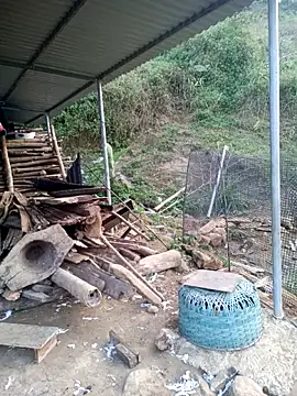 congchua977 online show from March 1, 10:48 am