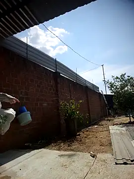 lina loveee online show from March 4, 7:15 am