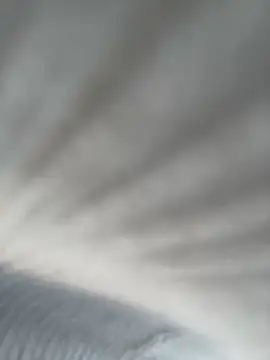 mi-ki1314 online show from February 20, 5:06 am