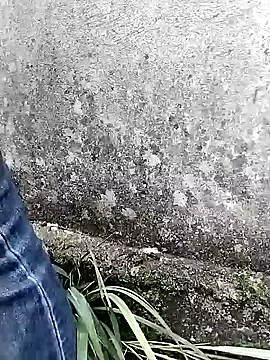 waaini99 online show from February 22, 8:15 am