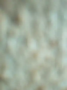 talytah online show from February 26, 9:41 am