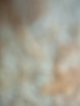 talytah online show from February 27, 9:42 am