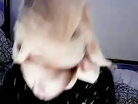 xxhotamizinggirl online show from February 8, 11:47 am