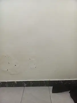 PatriciaVen online show from February 3, 6:22 am