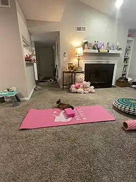 Pink mink21 online show from February 3, 3:48 am