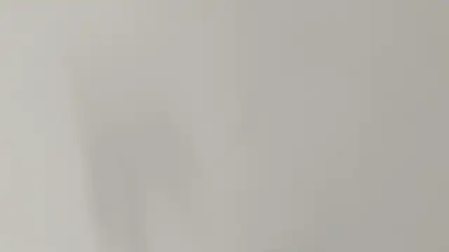 Ashley Ebony   online show from February 7, 1:04 pm