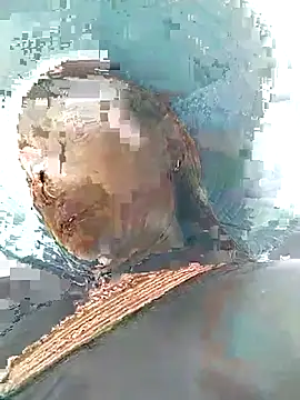 Neoone 1 online show from April 13, 8:26 am