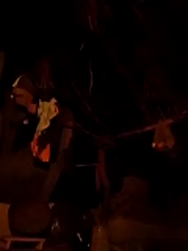 Dipti hote online show from April 12, 2:53 pm