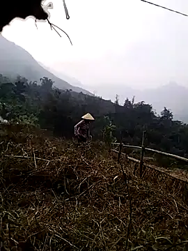 Tina-beo online show from March 27, 9:43 am