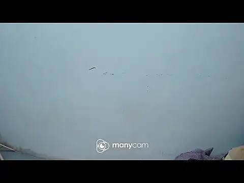 exotic girl69x online show from March 3, 9:26 am