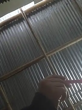 mar coral2 online show from March 27, 11:44 am