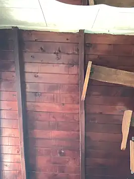 Iris Black online show from April 14, 1:33 pm