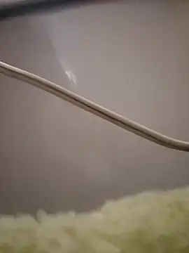 parejaxxxarg online show from February 24, 9:57 pm