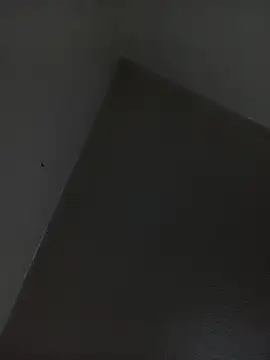 anonimaX69 online show from July 27, 6:21 am