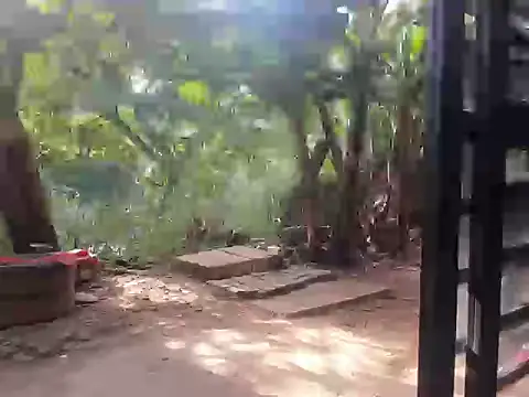 venusandzeusxh online show from September 15, 12:57 pm