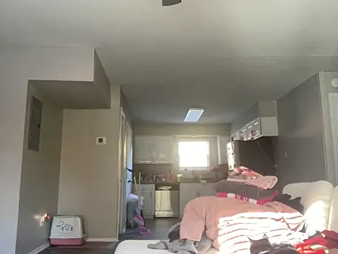 bunnypillow online show from November 14, 3:01 pm