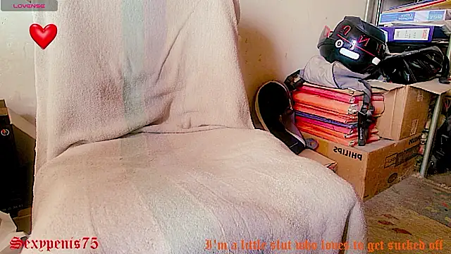 sexypenis75 online show from January 18, 12:01 pm