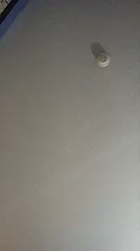 txsweets online show from October 17, 5:16 pm