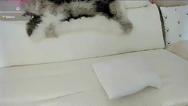 Maryelle online show from April 10, 7:42 pm