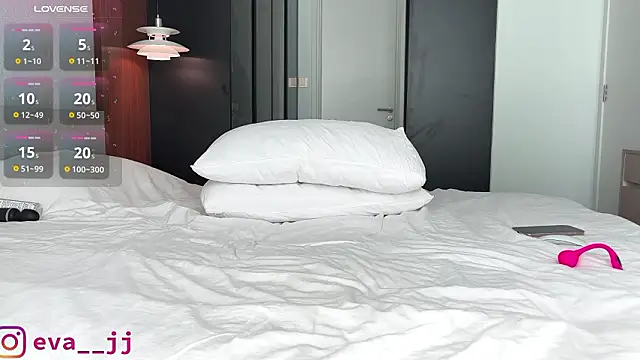 Eva JJ online show from February 14, 3:30 am