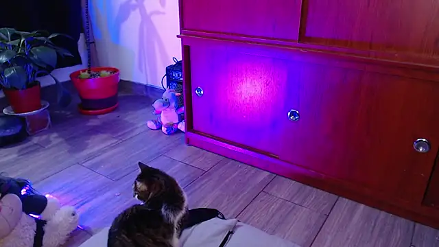 Raventh  online show from February 4, 3:53 am