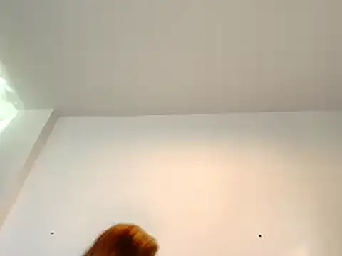 jhon gade online show from December 3, 4:37 am