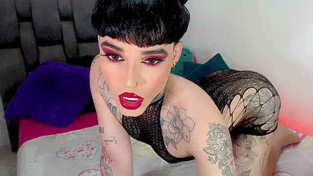 little star porn online show from February 6, 3:21 am