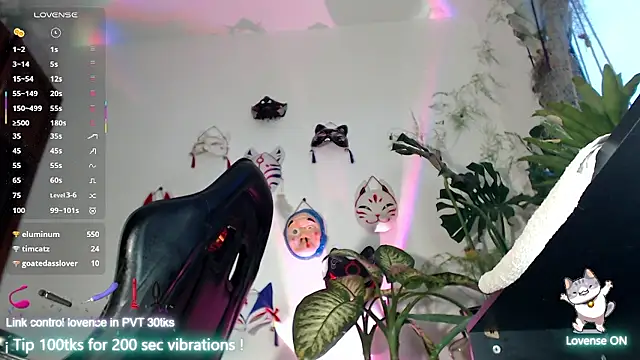 cat salo online show from January 12, 10:59 pm