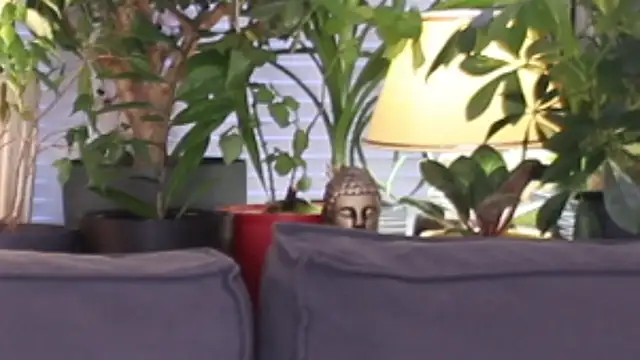 Lily minx online show from November 13, 3:38 am