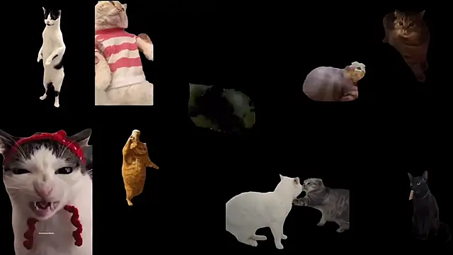 aberaaruba online show from November 6, 2:45 pm