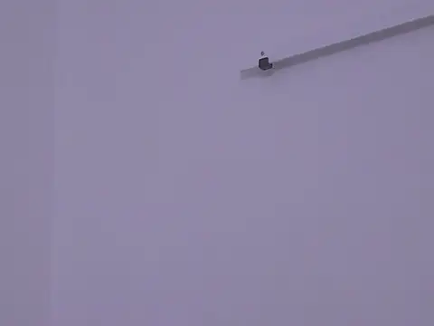 BustyMadison online show from November 13, 9:19 am