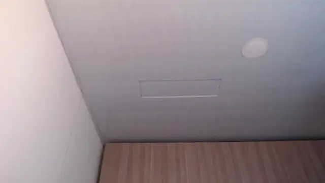 Selene93 online show from February 10, 9:07 pm