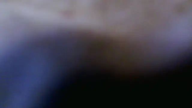 Taylorsexbot online show from April 17, 11:45 am