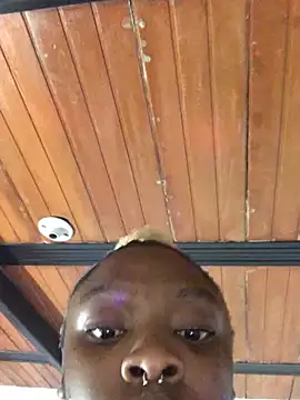 The wickles 4443 online show from February 19, 2:44 am