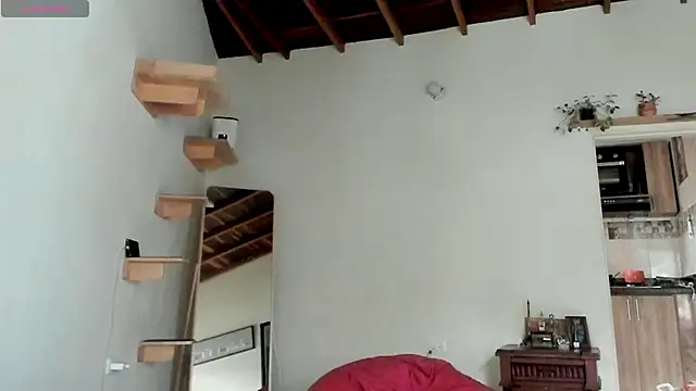 Rainbow leia online show from February 21, 7:25 pm